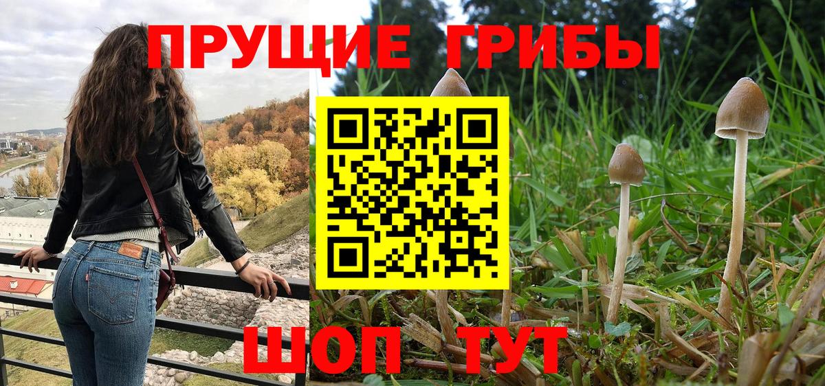 Галлюциногенные грибы ЛСД Каспийск
