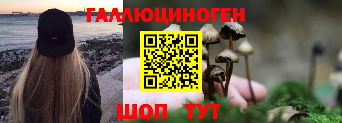 Меф МЯУ МЯУ кристаллы  Кокаин  Канабис  Каспийск  ГАШИШ  Вход с VPN 